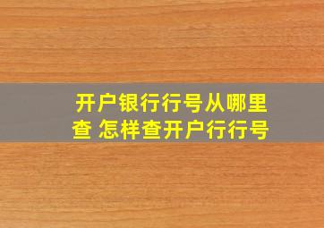 开户银行行号从哪里查 怎样查开户行行号